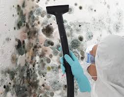 Why You Should Choose Our Mold Remediation Services in Kent, WA